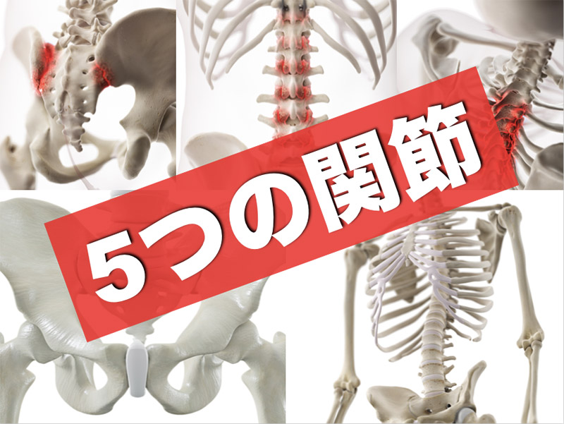 5つの関節