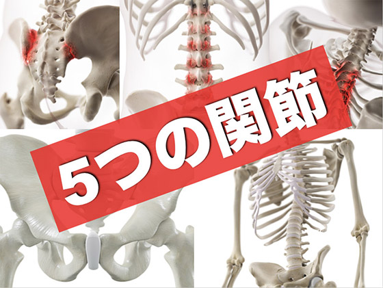 5つの関節
