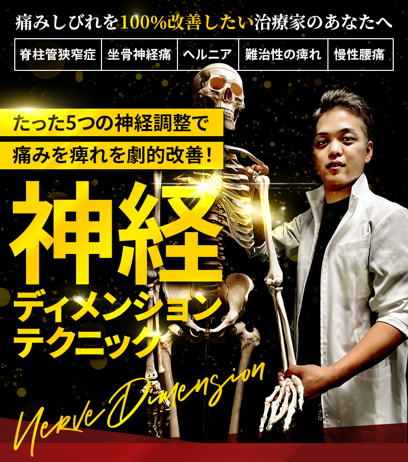 神経ディメンションテクニック