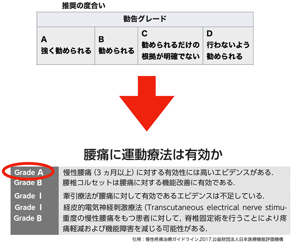 腰痛に運動療法は有効か