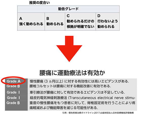 腰痛に運動療法は有効か