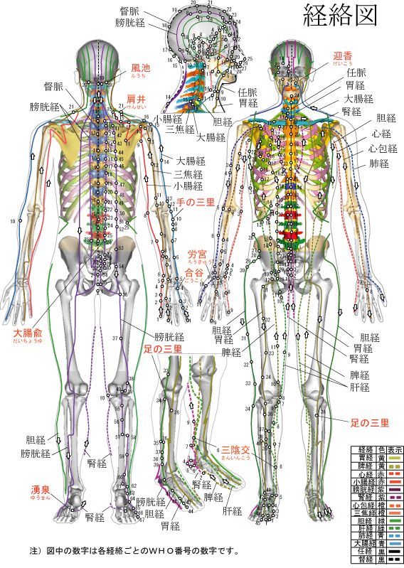 腰痛を一瞬で治す仙腸関節リリーステクニック