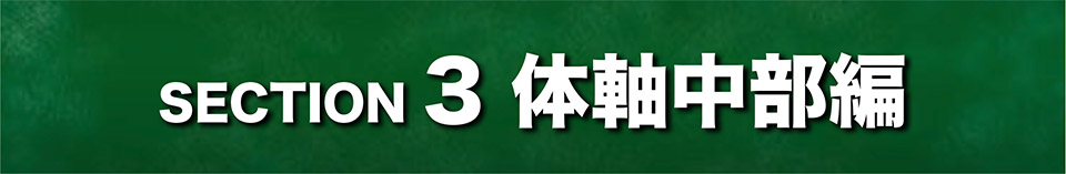 SECTION3 体軸中部編