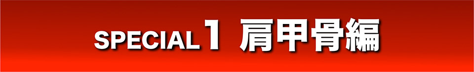 SPECIAL1 肩甲骨編