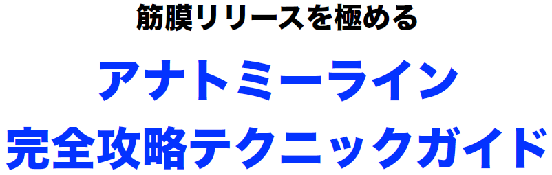 アナトミーライン完全攻略テクニックガイド