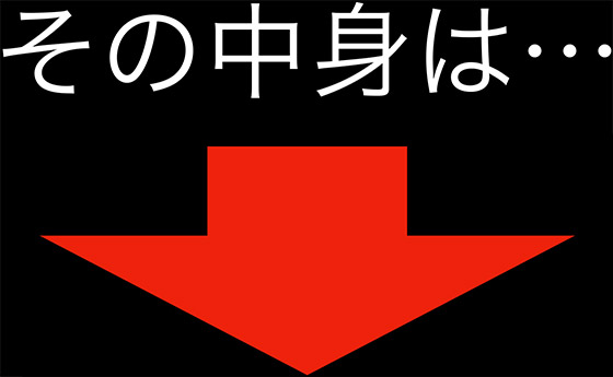 その中身は…